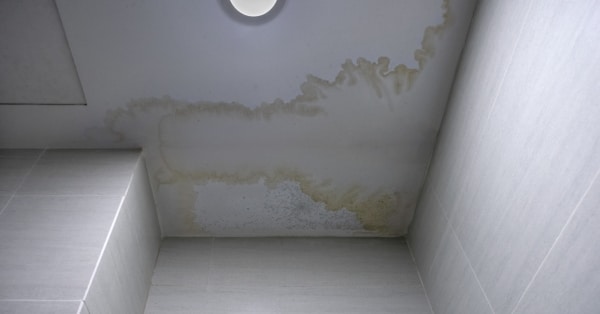 Do Your Best to Prevent the Growth of Mold and Mildew